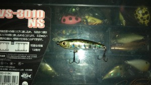 IMG_20210929_203728.jpg