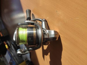 IMG_20211007_093016.jpg
