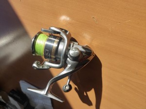 IMG_20211007_093006.jpg