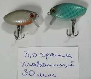 голавль 1 (2).jpg