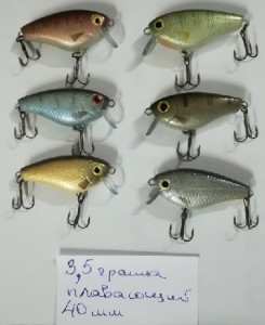 Голавль 2.jpg