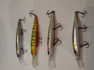 IMG_20211015_180252.jpg
