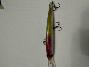 IMG_20211015_180023.jpg