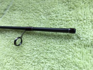 IMG_2959.jpeg