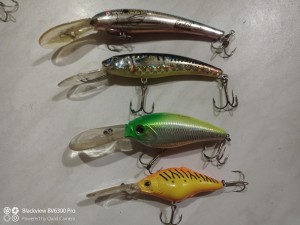 IMG_20211122_204343_704.jpg