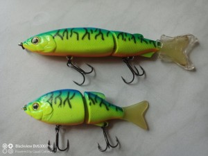 IMG_20211204_125934_619.jpg