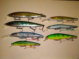 IMG_20211205_102733.jpg