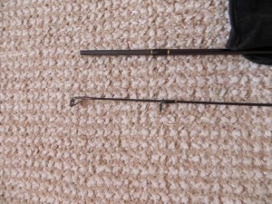 IMG_2457.JPG