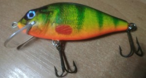 IMG_20220124_132644.jpg