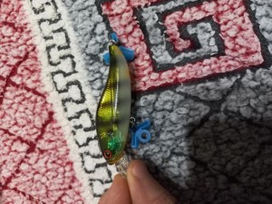 20220124_171459.jpg