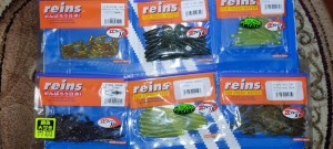 IMG_20220417_113319.jpg