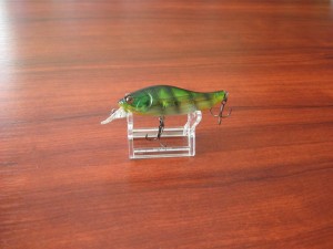 IMG_7618.JPG