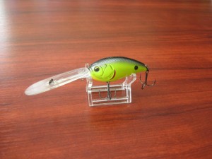 IMG_7610.JPG