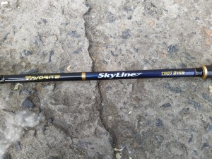 Skyc 8-21-4.jpg