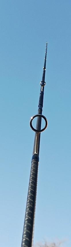 IMG_20250227_143059.jpg
