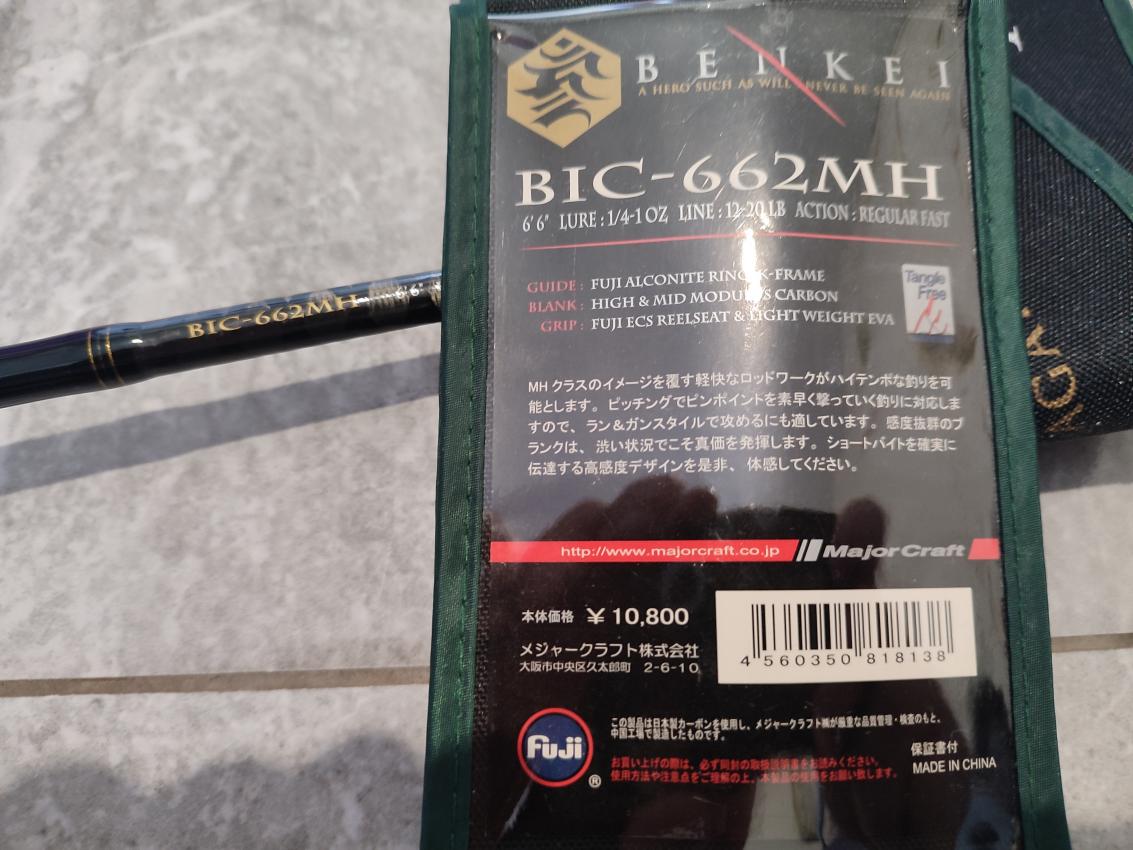 BIC-3.jpg