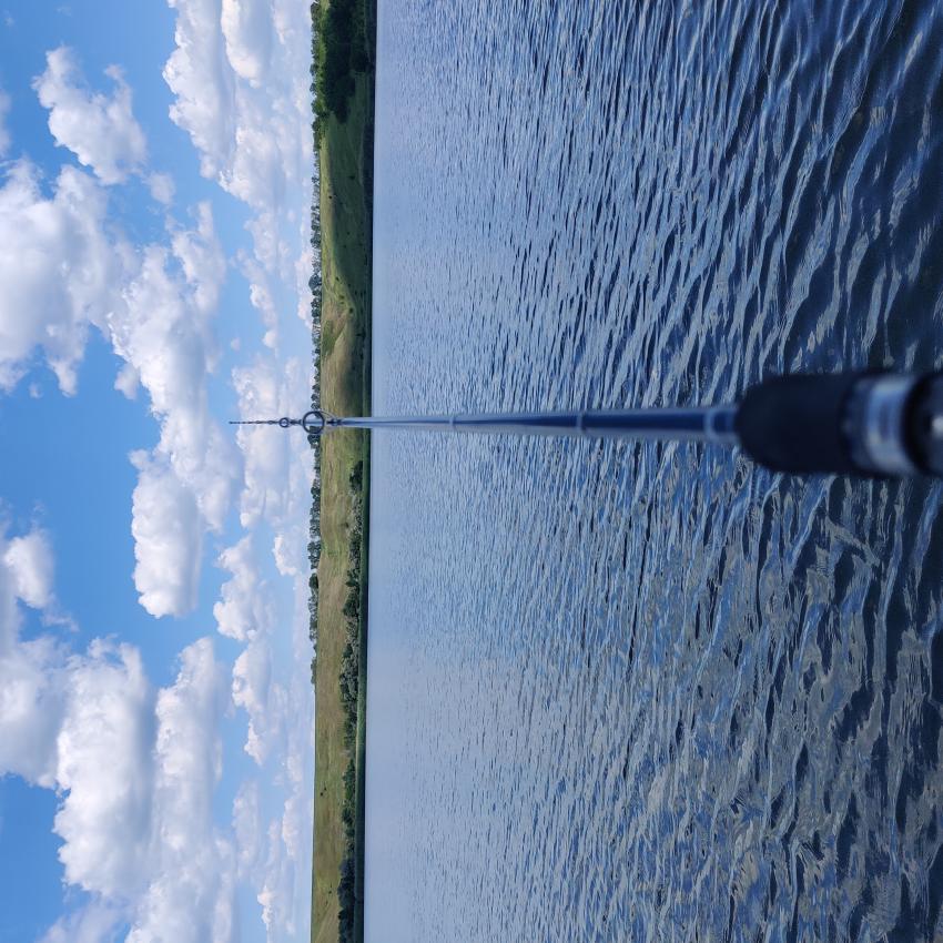 IMG_20250704_132936.jpg