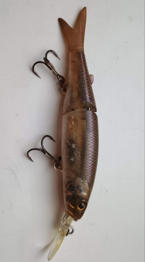 photo_2025-10-20_10-05-46 (3).jpg