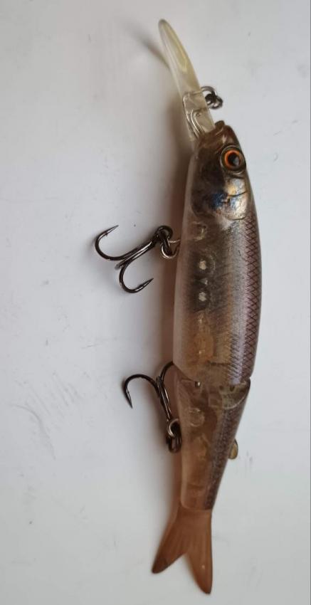 photo_2025-10-20_10-05-46 (2).jpg