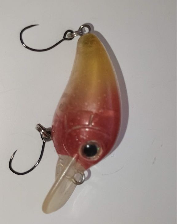 photo_2025-11-13_15-33-51 (2).jpg