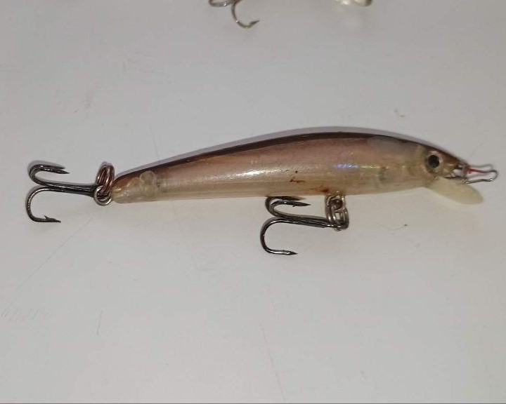 photo_2025-11-13_15-33-51 (5).jpg