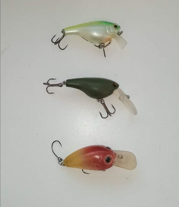 photo_2025-11-13_15-33-51 (6).jpg