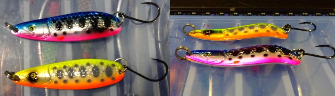 Daiwa Wise Masau.jpg