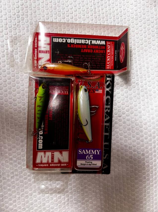 photo_2026-01-08_17-16-58 (2).jpg