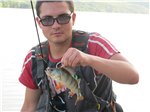 Аватара пользователя