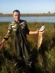 Аватара пользователя