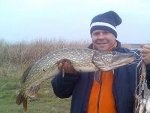 Аватара пользователя