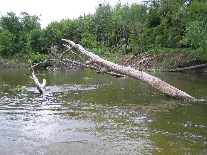 150 грн. за утро на двоих...