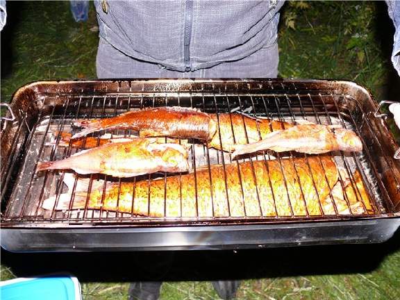 Рыбалка на спиннинг на реке Псёл