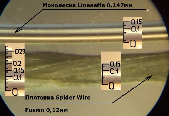 Spiderwire Fusion 0,12, 30