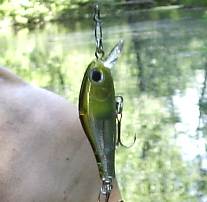 Воблер ZipBaits Rigge 35F
